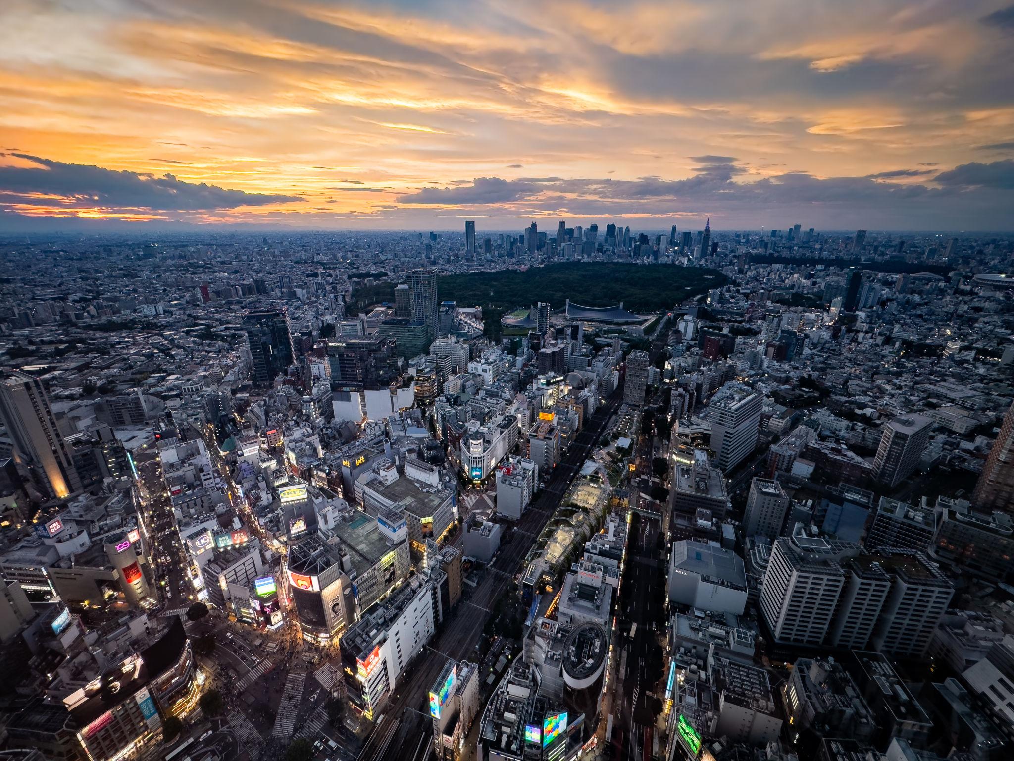 Shibuya Sky al atardecer