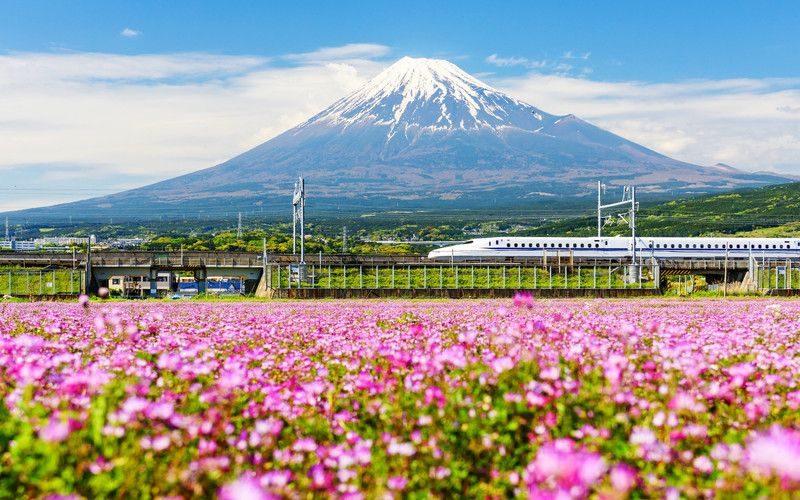 Paseo en Shinkansen · Tren Bala